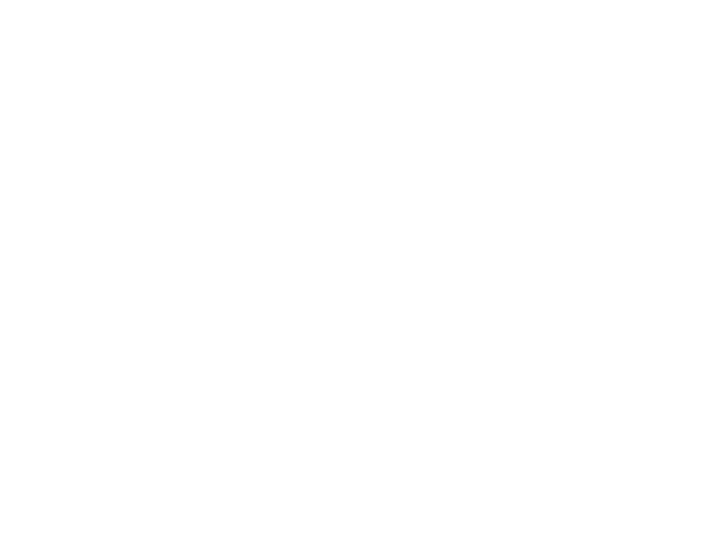 leoHerz 